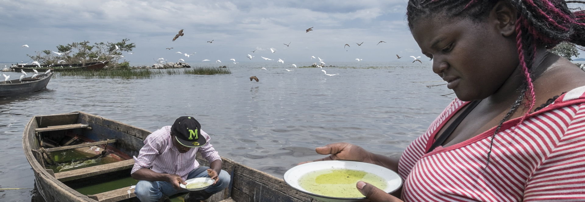 Krystal Birungi, Field Entomology Coordinator, is collecting mosquitoes’ larvae on an island site in Uganda